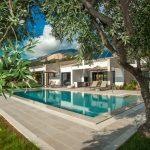 Villa Arte luxury villa with olive tree