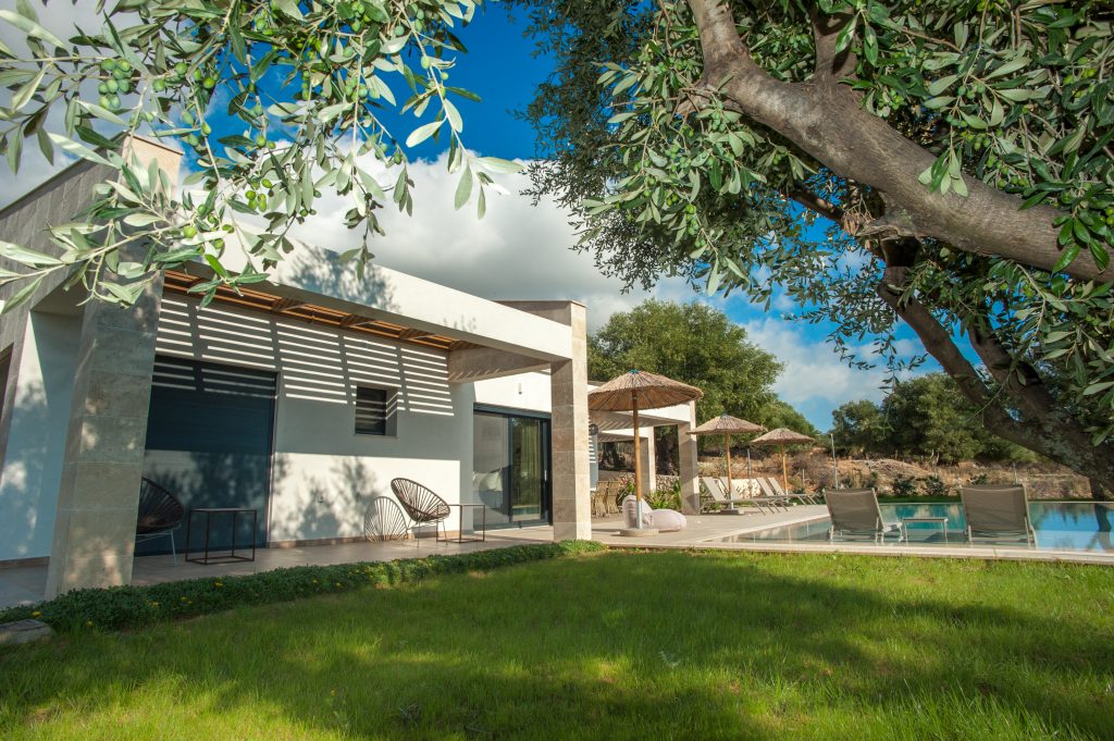 Villa exterior framed by olive trees, Villa Arte, Kefalonia